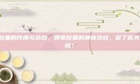 酵素胶囊的作用与功效，酵素胶囊的神奇功效，你了解其作用吗？