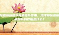 鸿洋神牌氨基葡萄糖软骨素钙片作用，鸿洋神氨基葡萄糖软骨素钙片的作用是什么？