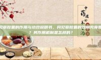 月见草胶囊的作用与功效说明书，月见草胶囊的效用究竟如何？其作用机制是怎样的？