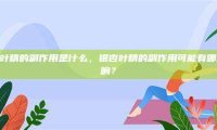 银杏叶精的副作用是什么，银杏叶精的副作用可能有哪些影响？