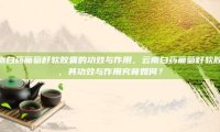 云南白药葡萄籽软胶囊的功效与作用，云南白药葡萄籽软胶囊，其功效与作用究竟如何？