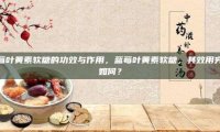蓝莓叶黄素软糖的功效与作用，蓝莓叶黄素软糖，其效用究竟如何？