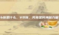 vb族是什么，VB族，究竟是何神秘力量？