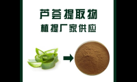 芦荟提取物的功效，芦荟提取物功效，你了解其全部益处吗？