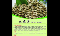 火麻子油的功效作用与主治，火麻子油的功效与主治是什么？