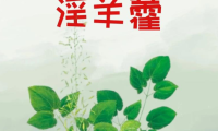 婬羊藿的作用和功效，婬羊藿的神奇功效，你知道它的作用吗？
