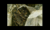红蜂胶的作用与功效与作用及禁忌，红蜂胶，作用全面，功效显著，有哪些禁忌需要注意？