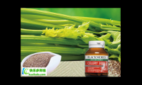 芹菜籽胶囊 作用和功效，芹菜籽胶囊的效用究竟如何？