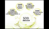 co辅酶q10的作用与功效，co辅酶q10的神奇作用与功效，你了解多少？