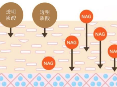 葡萄糖胺副作用，葡萄糖胺的副作用是否值得担忧？
