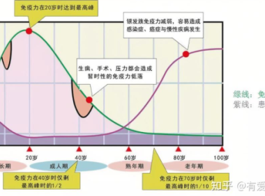 康麦斯牛初乳片的功效与作用,康麦斯牛初乳片,其功效与作用究竟如何?
