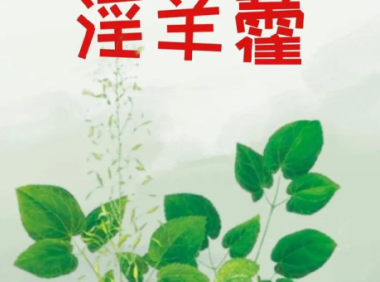 婬羊藿的作用和功效，婬羊藿的神奇功效，你知道它的作用吗？