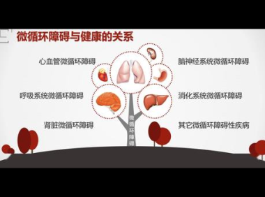 地龙对微循环的作用是什么，地龙对微循环的作用究竟是怎样的？