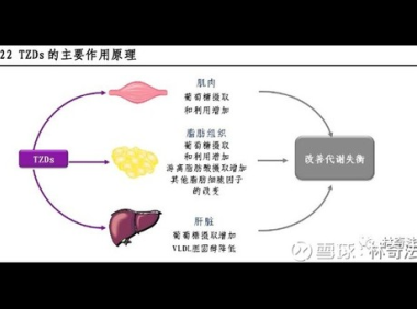 食用酶的作用原理，关于食用酶的作用原理，你了解多少？