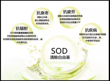 co辅酶q10的作用与功效，co辅酶q10的神奇作用与功效，你了解多少？