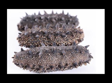 刺参的效果,刺参的效果究竟有多显著?