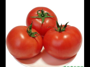 番茄红素 长期服用 副作用是什么,长期服用番茄红素的副作用有哪些?